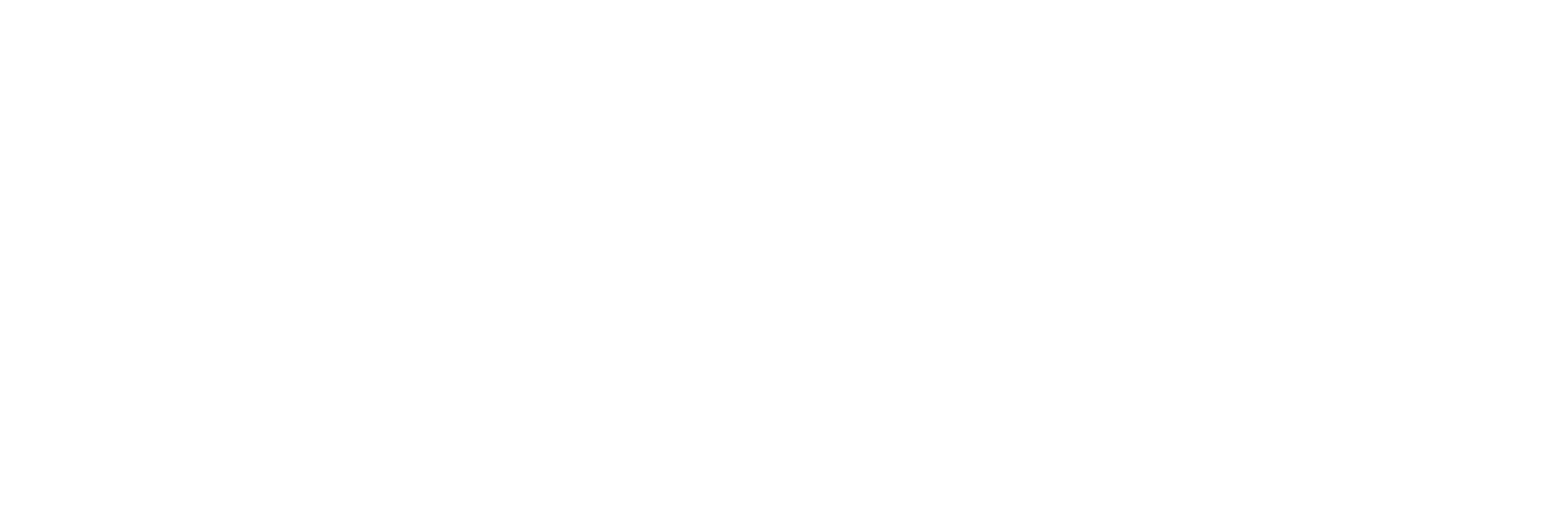 FESA Bienes Raíces